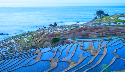 石川県