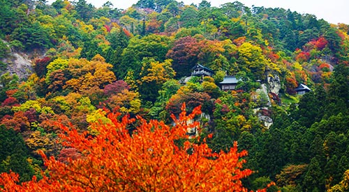 村山エリア