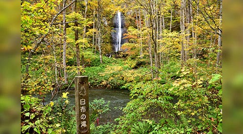 村山エリア