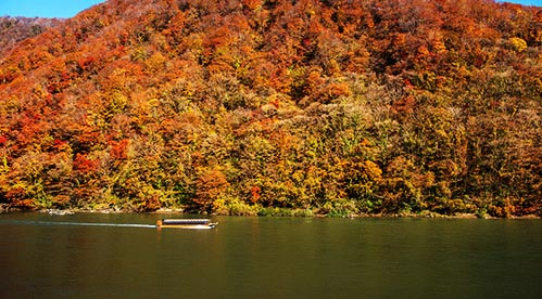 村山エリア