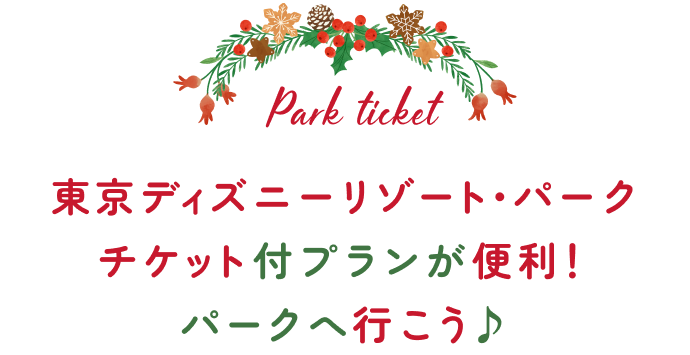 Park ticket