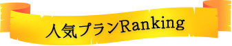 人気プランRanking