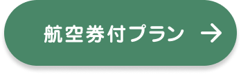 航空券付プラン