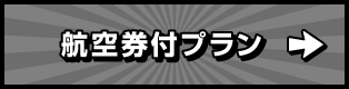 航空券付プラン