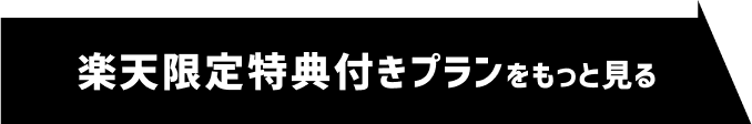 楽天限定特典付プランをもっと見る