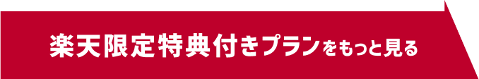 楽天限定特典付プランをもっと見る