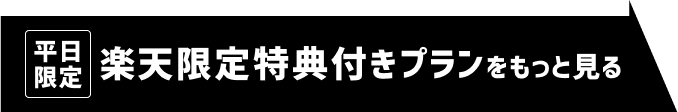 楽天限定特典付プランをもっと見る